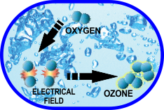 Ozone Water Cycle
